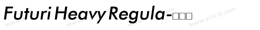 Futuri Heavy Regula字体转换